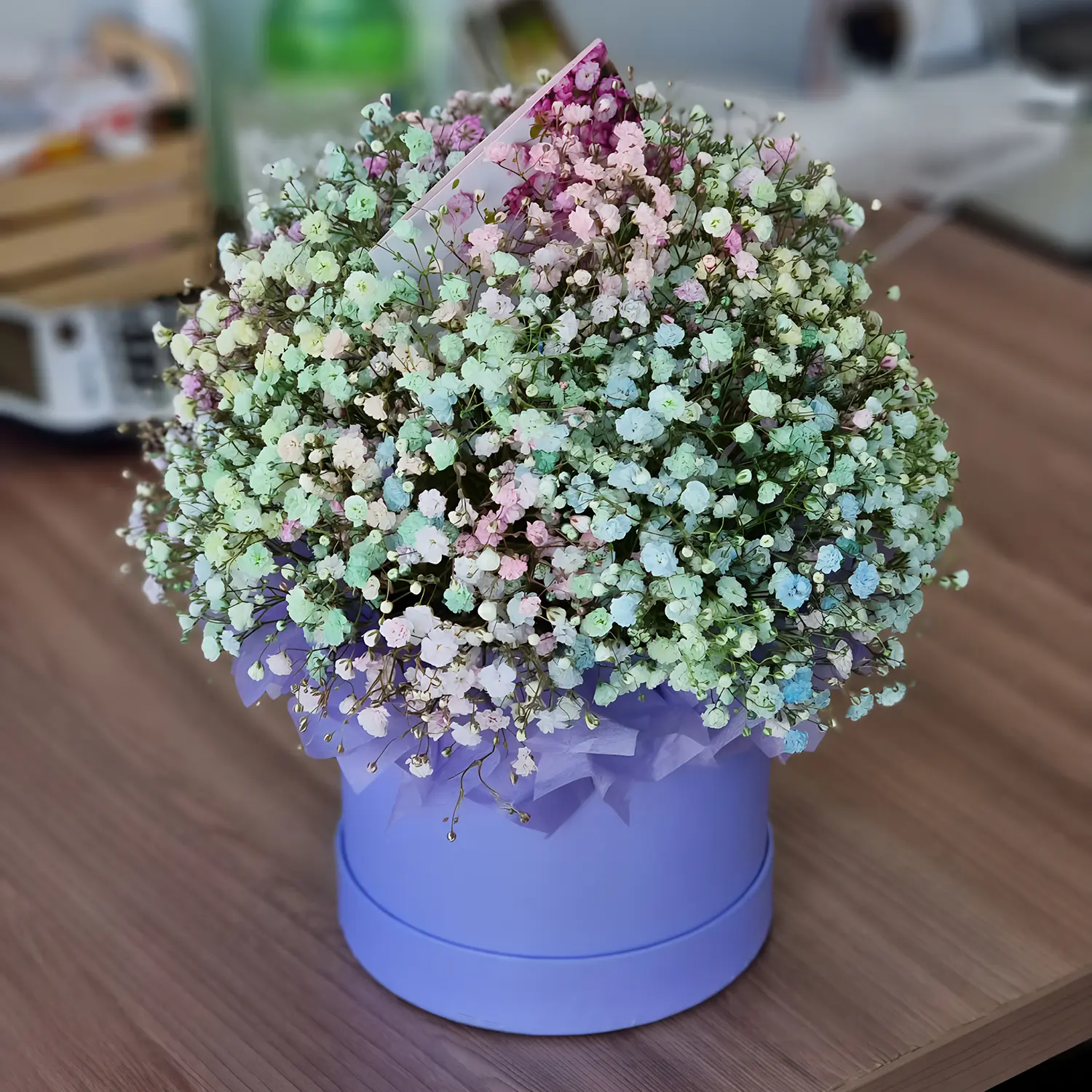 Коробочка гипсофиллы