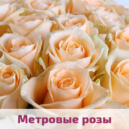 Кремовые розы метровые