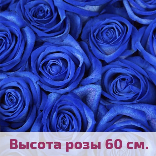 Синие розы 60 см.